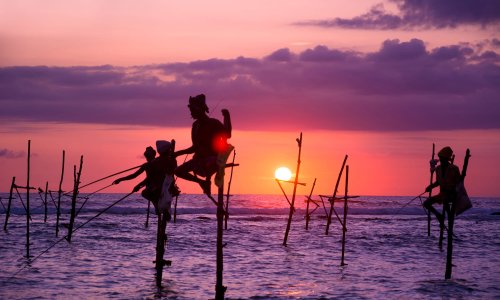Sri Lanka - wśród kolowych pól, najlepsza wycieczka, wycieczka objazdowa (4).jpg